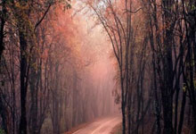 勇士一年合同签18年9号秀 上赛季场均7分.